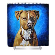 American Staffordshire Terrier Dog Painting Shower Curtain by Michelle Wrighton