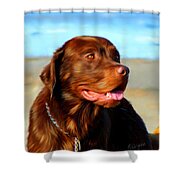 Bosco At The Beach Shower Curtain by Michelle Wrighton