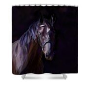Dark Horse Shower Curtain by Michelle Wrighton