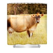 Dreamy Jersey Cow Shower Curtain