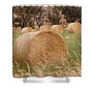 Hay Bales Shower Curtain