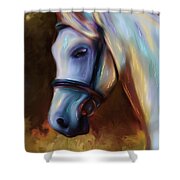 Horse Of Colour Shower Curtain by Michelle Wrighton