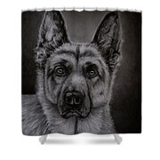 Noble - German Shepherd Dog Shower Curtain by Michelle Wrighton