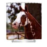 Old Blue Eyes Shower Curtain by Michelle Wrighton