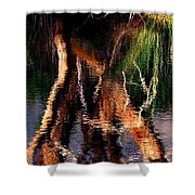 Reflections Shower Curtain by Michelle Wrighton