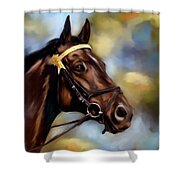 Show Horse Painting Shower Curtain by Michelle Wrighton