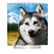 Smiling Siberian Husky  Painting Shower Curtain by Michelle Wrighton