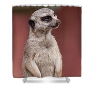 The Sentry Shower Curtain