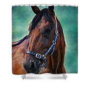 Tommy - Horse Painting Shower Curtain by Michelle Wrighton