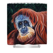 Wise One - Orangutan Wildlife Painting Shower Curtain