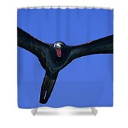 Wildlife In Mexico Shower Curtain Wildlife In Mexico Shower Curtain
