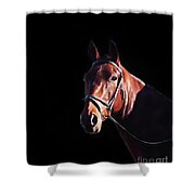 Bay On Black - Horse Art By Michelle Wrighton Shower Curtain by Michelle Wrighton