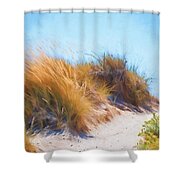 Beach Grass And Sand Dunes Shower Curtain