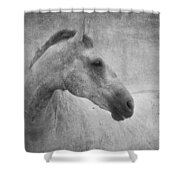 Beautiful Grey Horse In Textured Black And White Shower Curtain by Michelle Wrighton