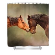 Best Friends - Two Horses Shower Curtain by Michelle Wrighton
