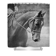Black And White Horse Photography - Softly Shower Curtain by Michelle Wrighton