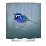 Blue Fairy Wren Shower Curtain