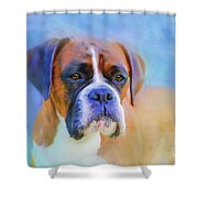 Boxer Blues Shower Curtain by Michelle Wrighton
