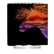 Colorful Abstract Wild Horse Silhouette In Purple And Orange Shower Curtain by Michelle Wrighton