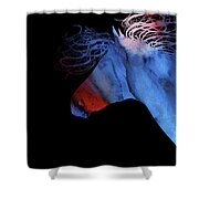Colorful Abstract Wild Horse Silhouette - Red And Blue Shower Curtain by Michelle Wrighton