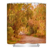 Country Roads 1 Shower Curtain