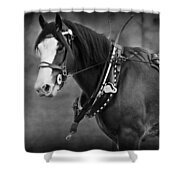 Days Gone By Shower Curtain by Michelle Wrighton