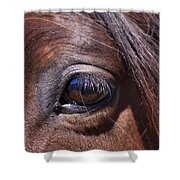 Eye See You Shower Curtain by Michelle Wrighton