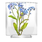 Forget-me-not flowers on white Jigsaw Puzzle by Elena Elisseeva