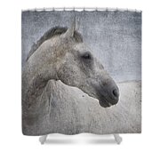 Grey At The Beach Textured Shower Curtain by Michelle Wrighton