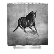 Horse Power Black And White Shower Curtain by Michelle Wrighton