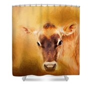 Jersey Cow Farm Art Shower Curtain