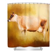Jersey Cow In Field Shower Curtain