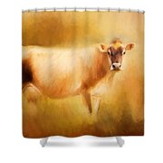 Jersey Cow  Shower Curtain