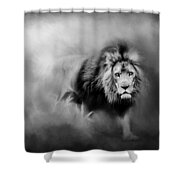 Lion - Pride Of Africa 3 - Tribute To Cecil In Black And White Shower Curtain