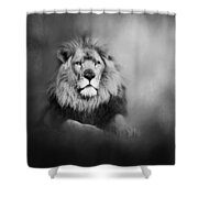 Lion - Pride Of Africa I - Tribute To Cecil In Black And White Shower Curtain
