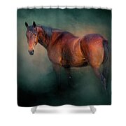 Looking Back Shower Curtain by Michelle Wrighton