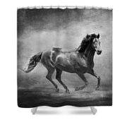 Music To My Ears Black And White Shower Curtain by Michelle Wrighton
