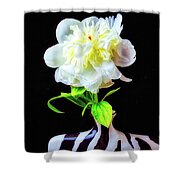 Opened Peony Shower Curtain Opened Peony Shower Curtain