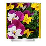 Pansies Shower Curtain Pansies Shower Curtain
