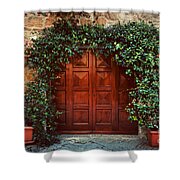 Italian Outdoor Blackout Curtain Rusty Wood Door with Flowers in Italian Town Authentic Nostalgic Building Outdoor Curtain Waterproof Rustproof 108x108 INCH,Cream Lilac Brown
