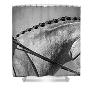 Shades Of Grey Fine Art Horse Photography Shower Curtain by Michelle Wrighton
