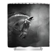 Shadows And Light Shower Curtain by Michelle Wrighton