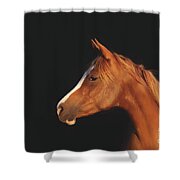 Soulful Gaze Of A Horse Shower Curtain