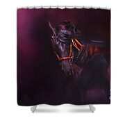 Spanish Passion - Pre Andalusian Stallion Shower Curtain by Michelle Wrighton