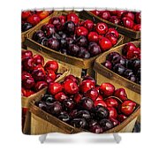 Sweet Cherries From A Cherry Orchard At The Cherry Point Farm Market Photograph By Randall Nyhof,White Wall Stickers For Bedrooms