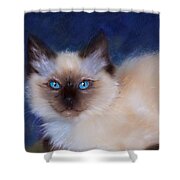 Zen Ragdoll Cat Shower Curtain by Michelle Wrighton