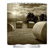 Straw Hay Bales in a Summer Harvest Field in Montana #2 Photograph by  Randall Nyhof - Pixels