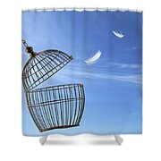 FREEDOM CONCEPT TREE CAGE ILLUSTRATION LEAVES PHOTO ART PRINT POSTER BMP1961A