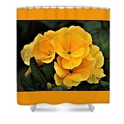Evening Primrose, Gold Shower Curtain Evening Primrose, Gold Shower Curtain