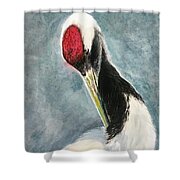 Red-crown Crane - 2 Leisurely Shower Curtain Red-crown Crane - 2 Leisurely Shower Curtain
